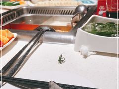 自助取餐区-海底捞火锅(金花路店)