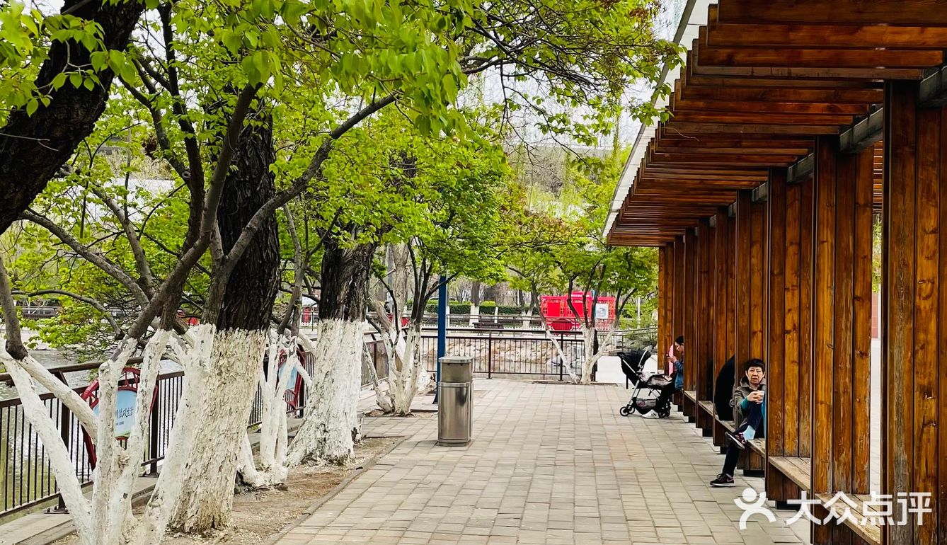 东丽公园赏花记