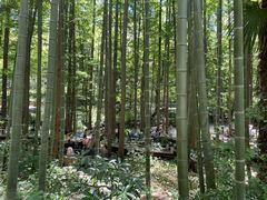 -东明山森林公园