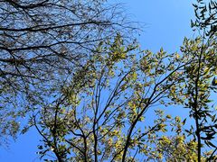 -南京市江宁方山