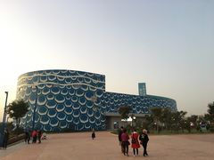 景点-华夏文旅海洋公园