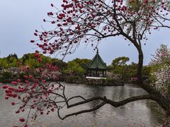 -无锡蠡湖国家湿地公园-蠡园