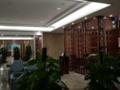 -郑州新郑国际机场T2航站楼-贵宾厅B区