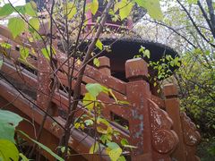 -淇河国家湿地公园