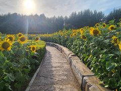 -长春公园(普阳街道)