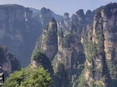 -印象鲵宴·张家界地标美食名片(溪布街店)