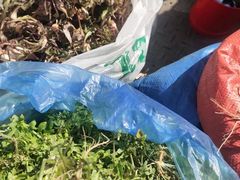 -庆岭迎宾园正宗活鱼馆