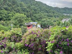 -广东天露山旅游度假区