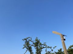 -羊山湖公园