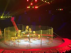 -珠海横琴长隆《卡卡虎奇遇记》