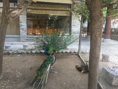 -罔极寺