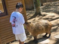 -宁波野生动物园