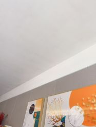 -哈颜科技轻美·