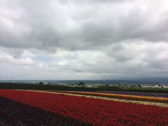-富田农场