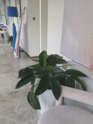 -哈尔滨瑞丽医疗美容医院