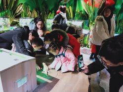 -酷嗒动物文化乐园(cutezoo西溪乐天城店)