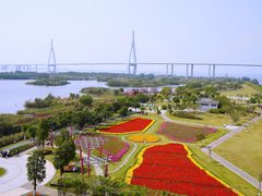 -芒洲湿地公园