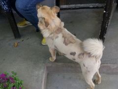 -蜗牛小馆醉乡民谣云南菜(惠新西里店)