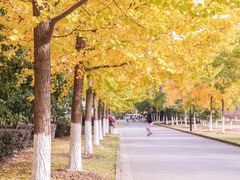 -江南大学(蠡湖校区)