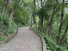 -黄葛古道