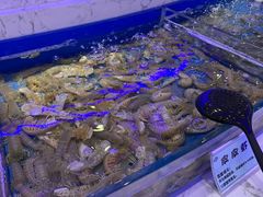 水产区-澜悦港海鲜体验主题餐厅