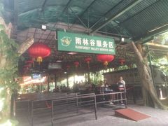 -呀诺达热带雨林