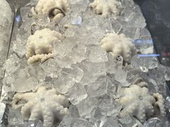 -铭聚章鱼土笋冻(松柏店)