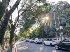 -南山植物园