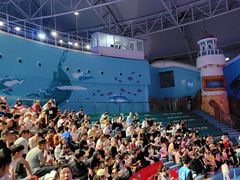 -烟台海昌鲸鲨海洋公园