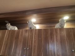 -九府羊鲜羊火锅·烧烤(任丘东风美食街店)