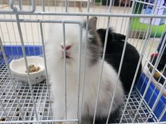 -乐宠宠物店(世纪金源店)