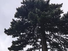 -武当山风景区