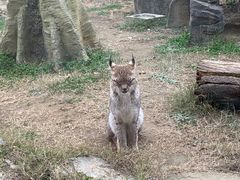 -杭州野生动物世界