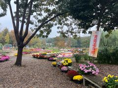 -浙江农林大学(东湖校区)