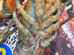 -麦德龙(浦东店)