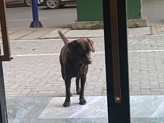 -晓马鸭店(新芜路店)
