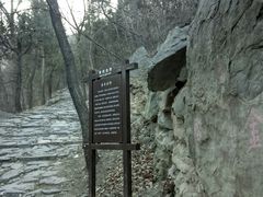 -阳台山自然风景区