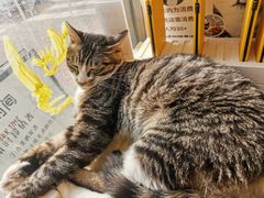 -平行世界·猫咖(首经贸店)