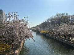 -元大都城垣遗址公园