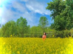 -长白岛森林公园