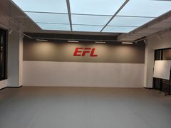 -EFL巴西柔术·综合格斗·泰拳·少儿体能训练(虹桥德必馆)