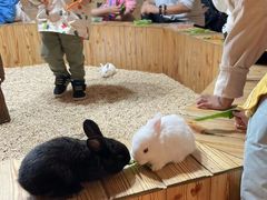 -昆明大悦城未来动物城(螺蛳湾中心店)