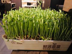 -湊湊火锅·茶憩(打浦桥日月光店)