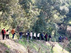 -溪口-滕头旅游景区