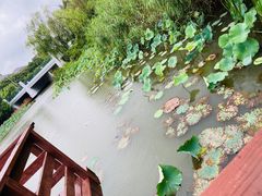 -新江湾城公园