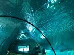 -福州罗源湾海洋世界旅游区