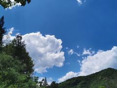 -北京鹫峰国家森林公园