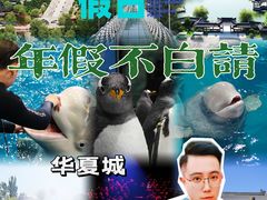 -威海华夏城景区