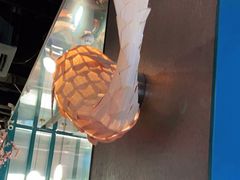 -老板恋上鱼(振华商厦店)