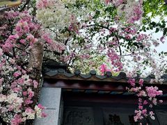 -深圳国际园林花卉博览园